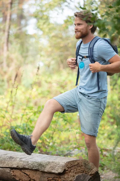 Hombre Excursionista Saltar Tronco Árbol Bosque — Foto de Stock