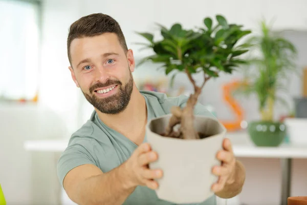 Hombre Está Ofreciendo Bonsái —  Fotos de Stock