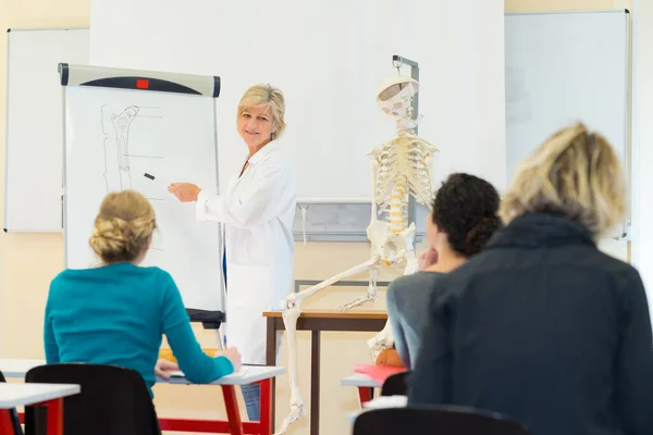 Anatomie Učitelka Její Studenti Třídě — Stock fotografie