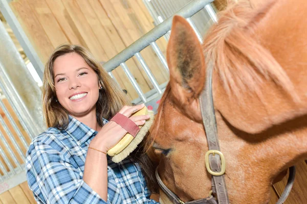 Porträtt Kvinna Grooming Häst Huvud — Stockfoto