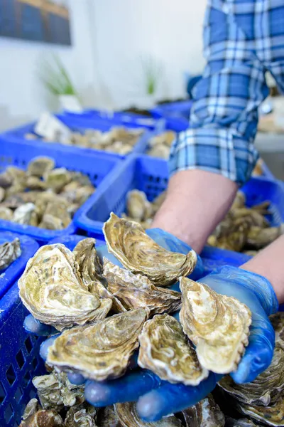 Manos Vendedor Ostras Mercado — Foto de Stock