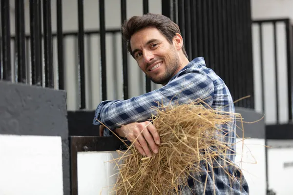 Homem Roupas Trabalho Alimentando Cavalo Com Feno Estábulo — Fotografia de Stock