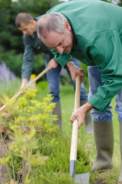 Man Gräver Ett Hål Marken För Plantering Träd — Stockfoto