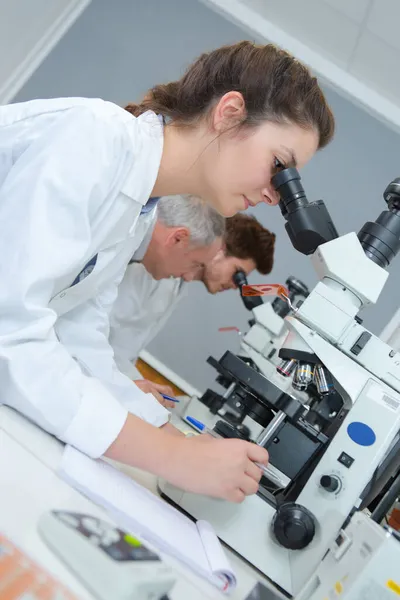 Laboratuvarda Çalışan Genç Kadın Tıbbi Teknisyen — Stok fotoğraf