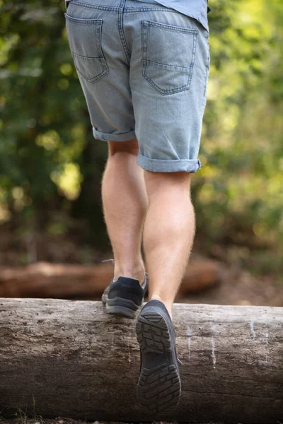 Senderismo Hombre Cruzando Tronco Árbol Caído Naturaleza Paisaje — Foto de Stock