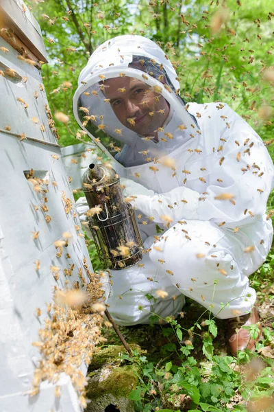 Ein Imker Der Den Bienenstock Raucht — Stockfoto