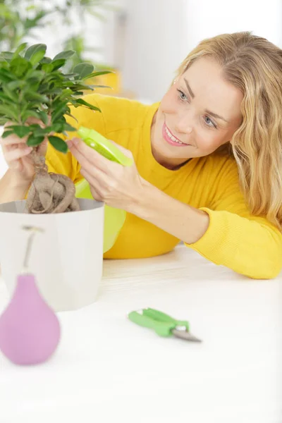 Mulher Pulverizando Uma Planta Vaso — Fotografia de Stock