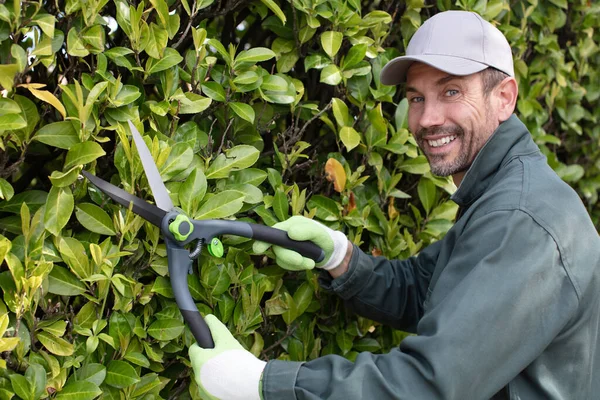 Snygg Ung Man Trimning Buskar Med Sax Trädgården — Stockfoto