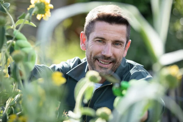 Skäggig Man Planterar Blommor Kruka Med Trädgårdsredskap — Stockfoto