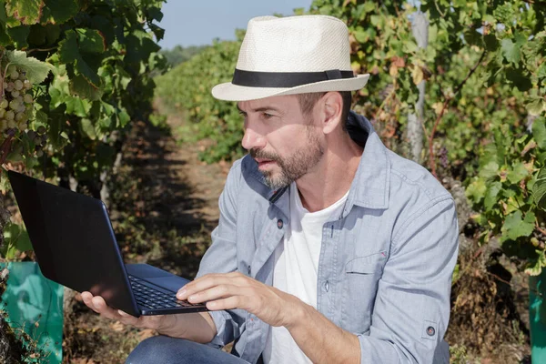 Agricoltore Maschio Che Detiene Laptop Vigna — Foto Stock