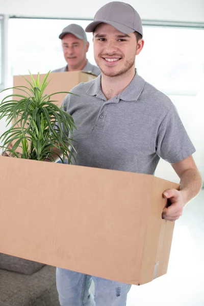 Removals Men Carry Cardboard Boxes — Stock Fotó