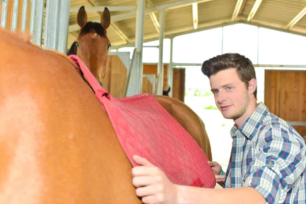 Man Met Deken Rug Van Een Paard — Stockfoto