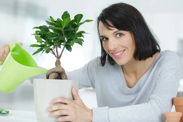 Een Vrouw Een Bonsai — Stockfoto