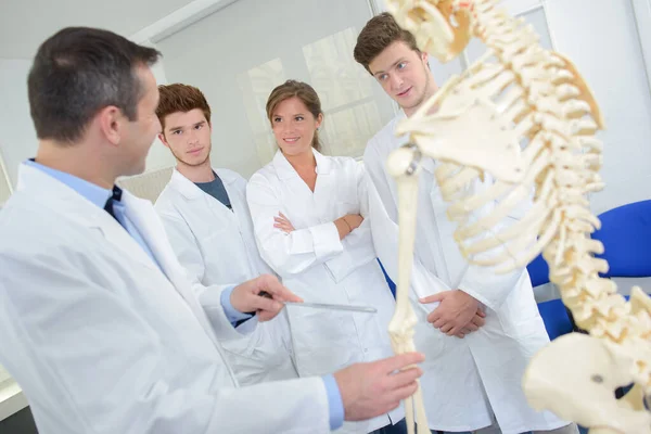 Lehrer Und Schüler Betrachten Skelett — Stockfoto