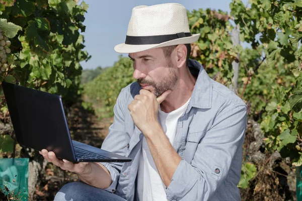 Férfi Farmer Dolgozik Egy Laptop Szabadban — Stock Fotó