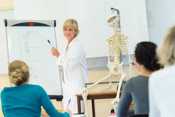 Lehrer Biologieunterricht — Stockfoto