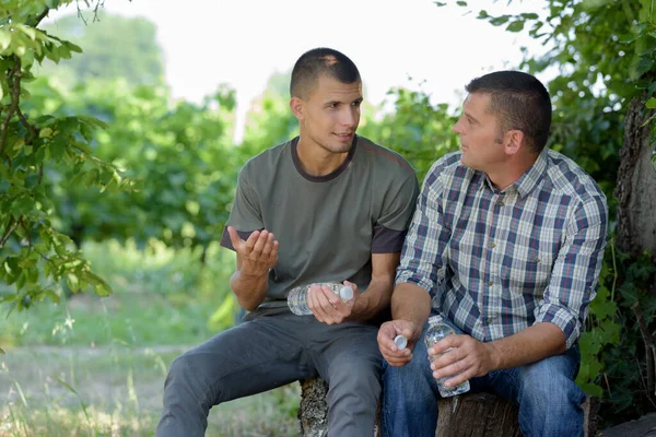 Hombres Relajándose Junto Árbol —  Fotos de Stock