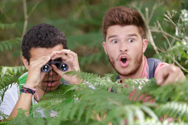 Hommes Dans Les Buissons Obtenir Choc Regardant Travers Les Jumelles — Photo