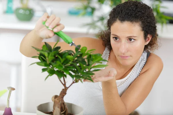 Concentrated Woman Bonsai — Stock Photo, Image