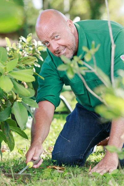 Agricultor Masculino Usa Pequeno Ancinho — Fotografia de Stock