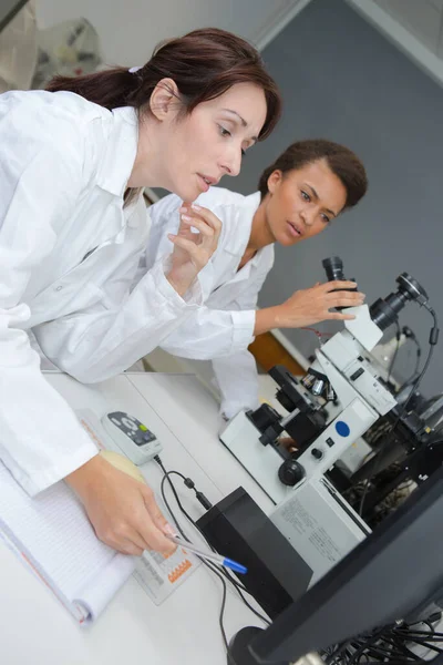 Жіночі Працівники Шукають Хімічні Дані Лабораторії — стокове фото