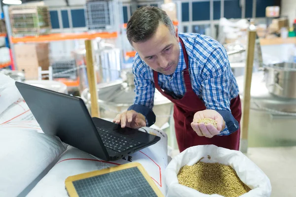곡식을 검사하기 노트북을 사용하는 양조업 — 스톡 사진