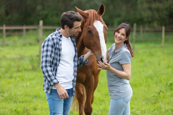 Pareja Joven Enamorada Junto Caballo —  Fotos de Stock