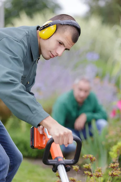 일하는 정원사 견습생 — 스톡 사진