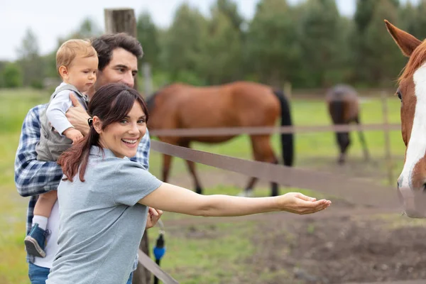 Lycklig Familj Med Liten Son Står Med Häst — Stockfoto