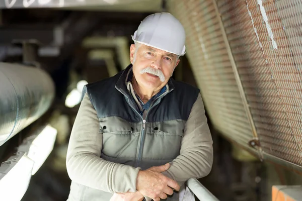 Anciano Trabajador Industrial Posando Sonriendo —  Fotos de Stock