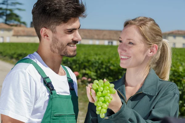 Hombre Mujer Jardineros Pie Entre Las Uvas — Foto de Stock