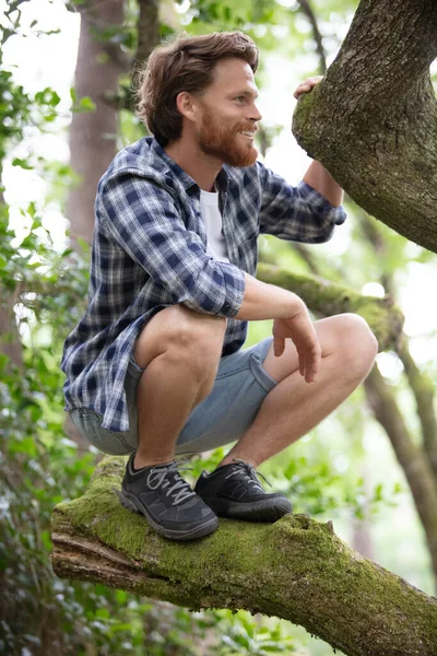 木の枝に座っている若いハイカーは — ストック写真