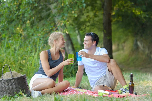 Schönes Paar Auf Einem Picknick — Stockfoto