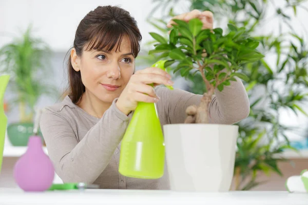 Eine Frau Einem Bonsai Gewächshaus — Stockfoto