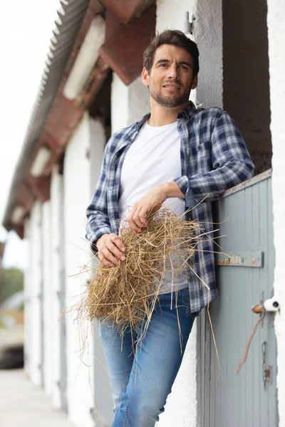 Handsome Young Stable Boy Posing — Stock Photo, Image