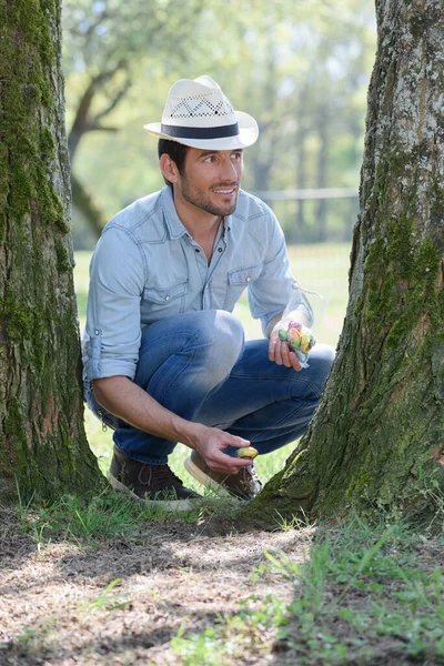 Mann Versteckt Sich Hinter Einem Baum — Stockfoto