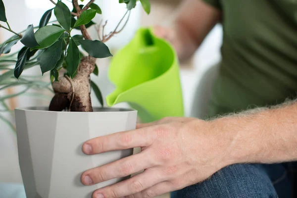 Cropped View Man Watering Houseplant — Stock Photo, Image