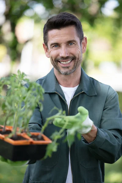 ガーデンセンターで働く男が植物を持ち — ストック写真