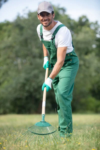 Happy Man Rakes Old Foliage Green Grass — Zdjęcie stockowe