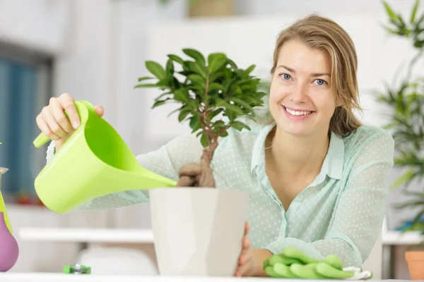 Woman Wearing Traditional Chinese Uniform Watering Bonsai Tree — Stock Photo, Image