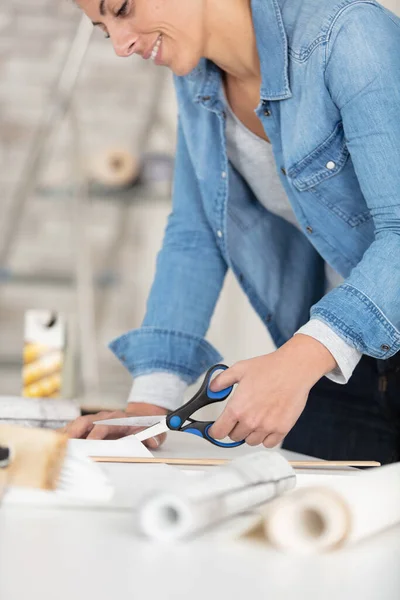 Jovem Mulher Fazendo Renovação Casa — Fotografia de Stock