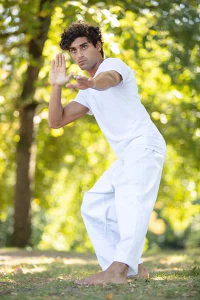 Young Man Practicing Traditional Chinese Tai Chi — Stock Photo, Image