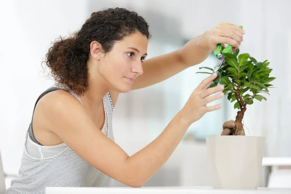 Jonge Zakenvrouw Aan Balie — Stockfoto