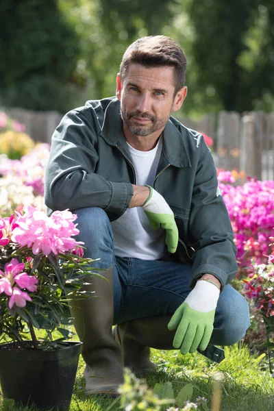 Felice Uomo Giardinaggio Cortile — Foto Stock