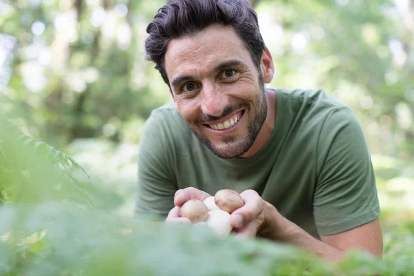 Fröhlicher Mann Beim Pilzesammeln Wald — Stockfoto