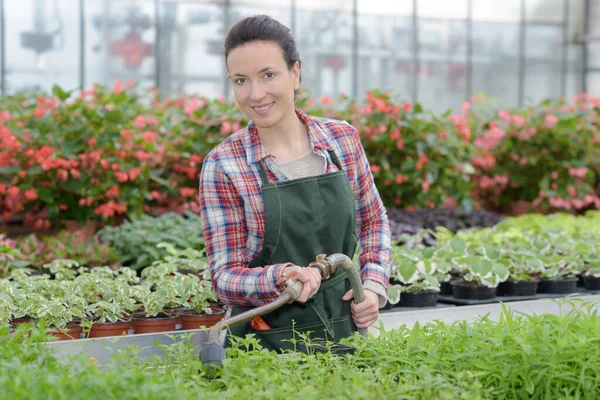 Female Gardener Uniform Working Plants — Foto de Stock