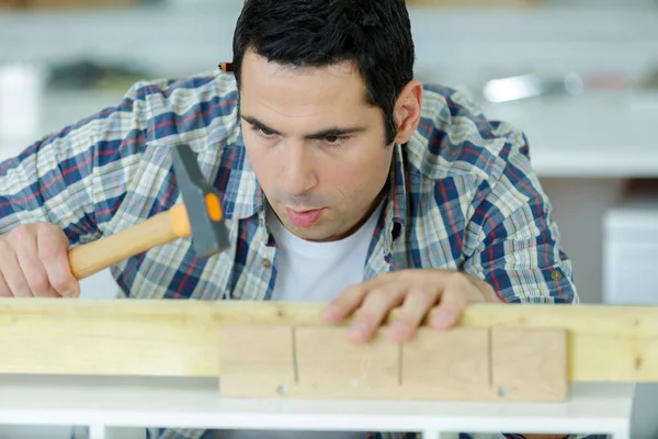 Caucasian Carpenter Hammering Nail Wooden Plank Stock Image