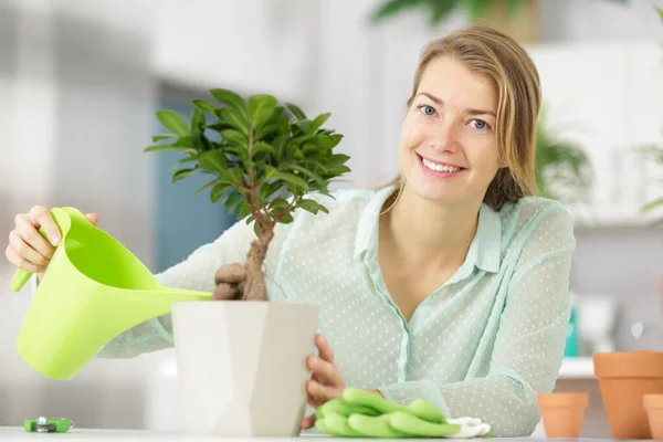 Vrouw Die Zorgt Voor Bonsai — Stockfoto