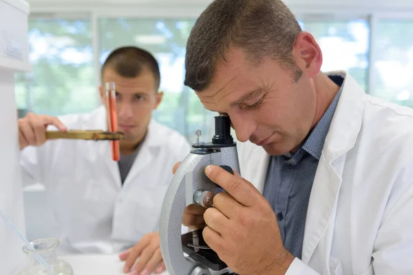 Két Férfi Tudós Dolgozik Laboratóriumban Egyik Mikroszkóppal — Stock Fotó