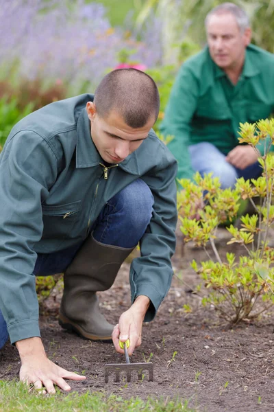 Gärtner Mit Harke Garten — Stockfoto